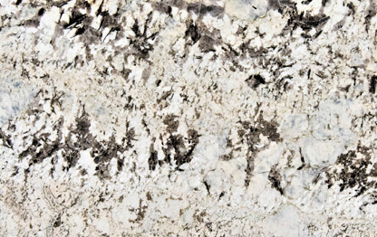 ALASKA WHITE