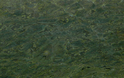 VERDE FANTASTICO