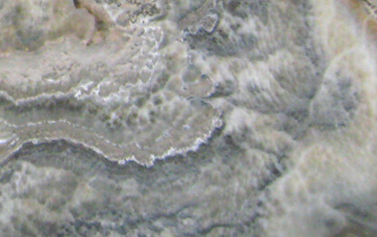 ONYX BLACK CLOUD